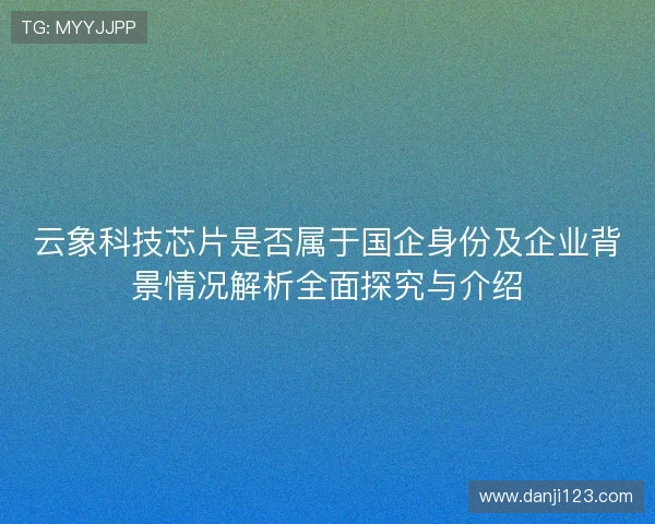 云象科技芯片是否属于国企身份及企业背景情况解析全面探究与介绍